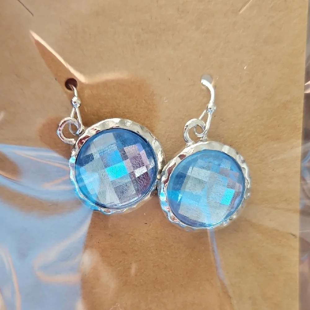 Elegant Blue Silver Earrings - Picture 3 of 4